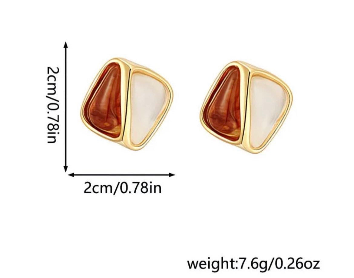 Dual-Tone Resin Gold Earrings